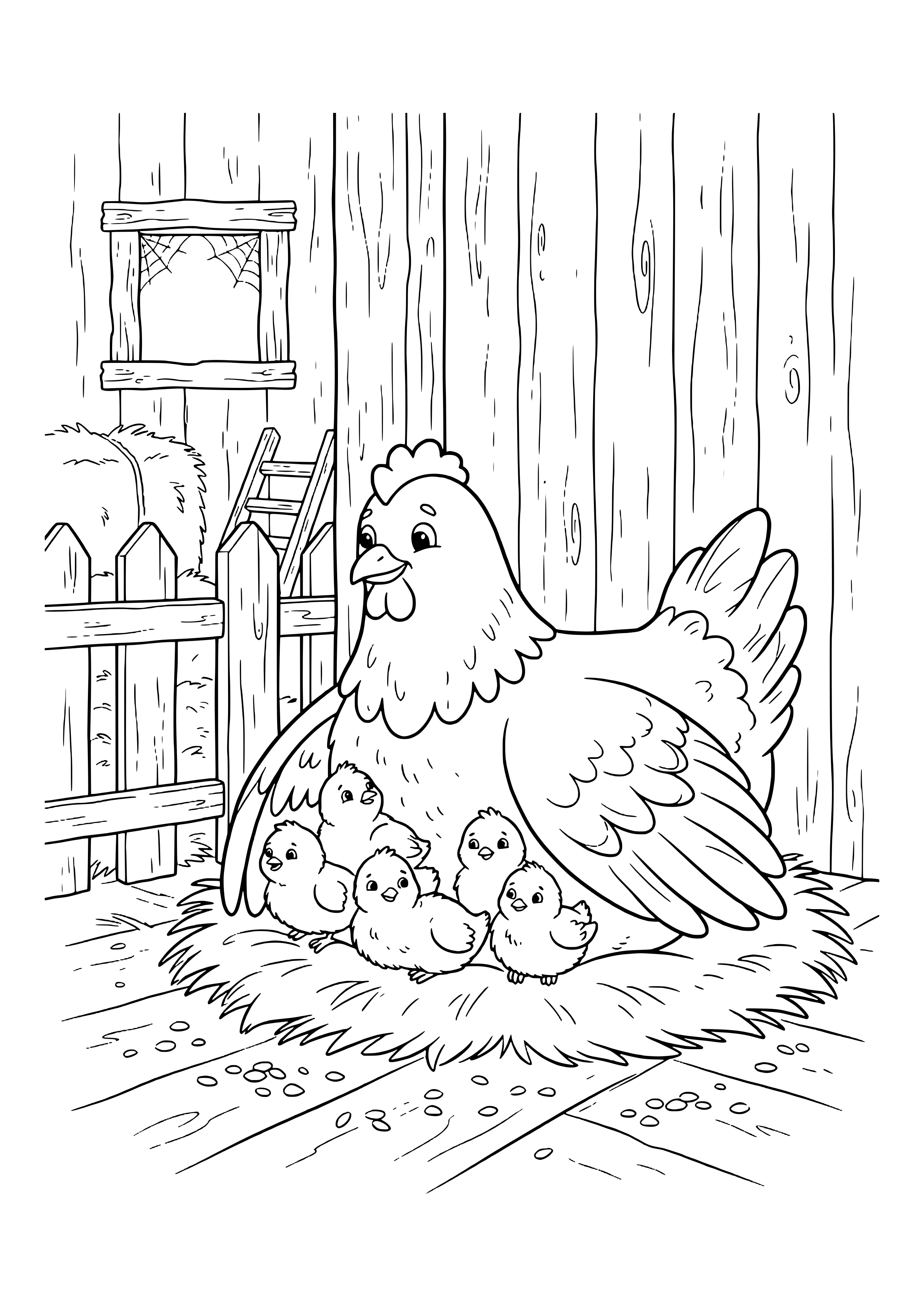 Mother hen sitting on straw in a wooden coop with five chicks snuggled under her wing, a window with cobwebs, a ladder and hay behind – coloring page to print