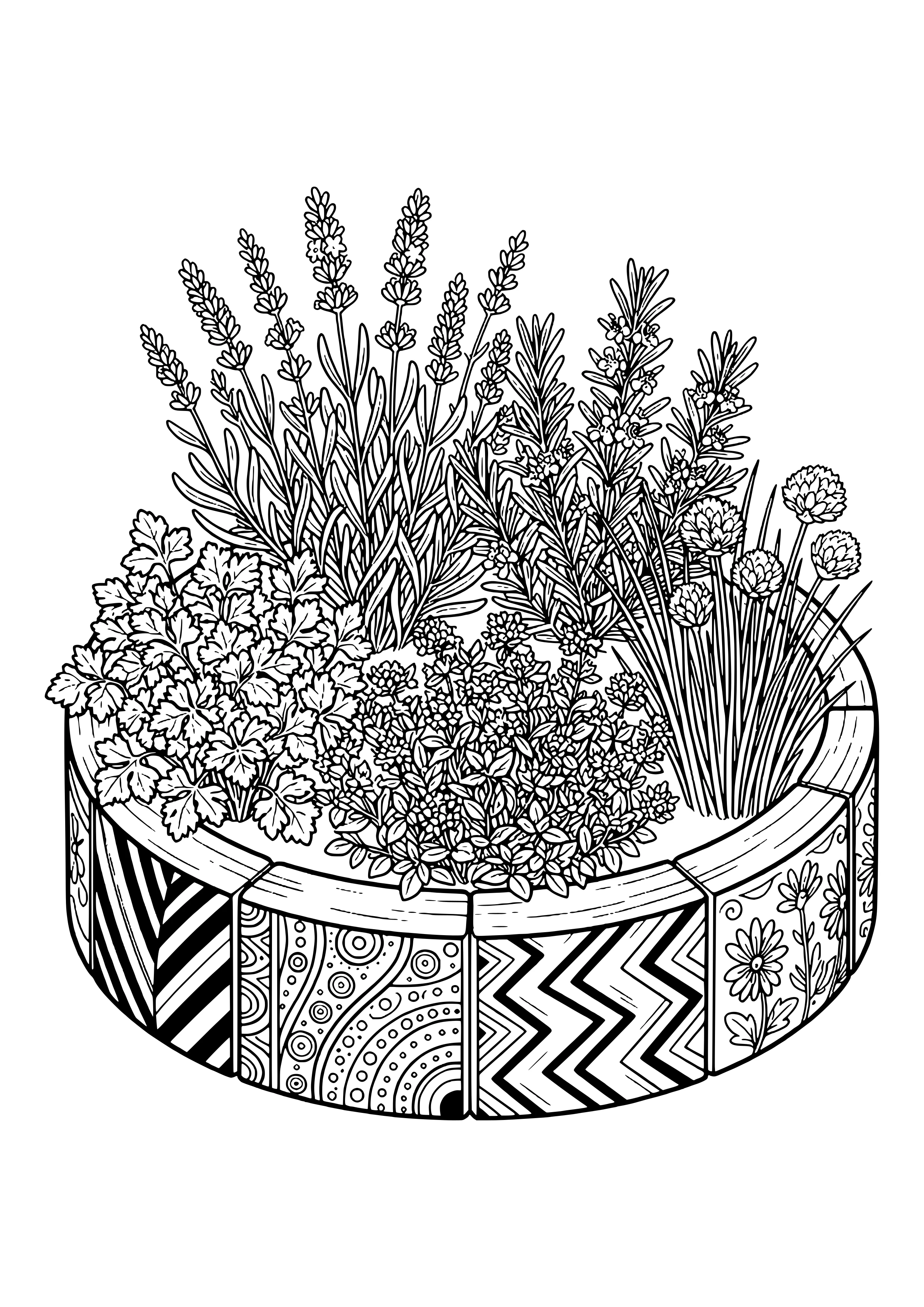 Rundes Kräuterbeet mit Lavendel, Rosmarin, Thymian, Petersilie und blühendem Schnittlauch, Beetrand mit Zickzack-, Kreis-, Streifen- und Blumenmustern – Ausmalbild zum Ausdrucken