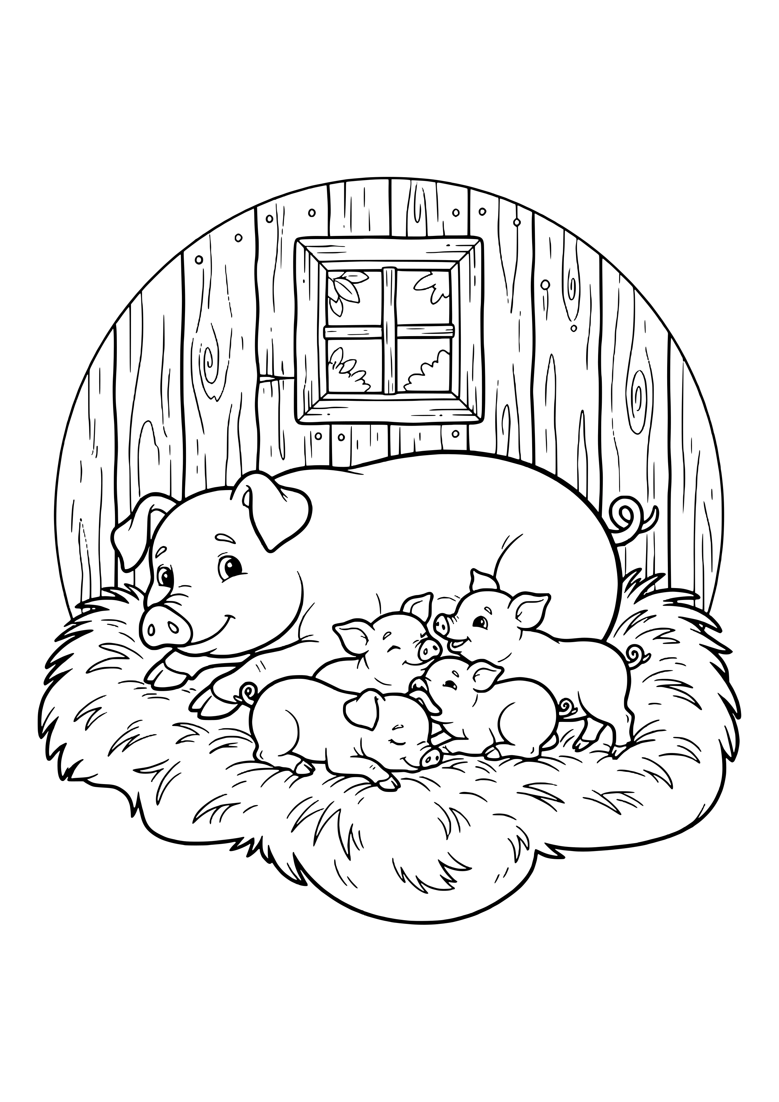 Smiling mother pig lying in the straw with four piglets sleeping and cuddling, in front of a wooden barn wall with a small window – coloring page to print