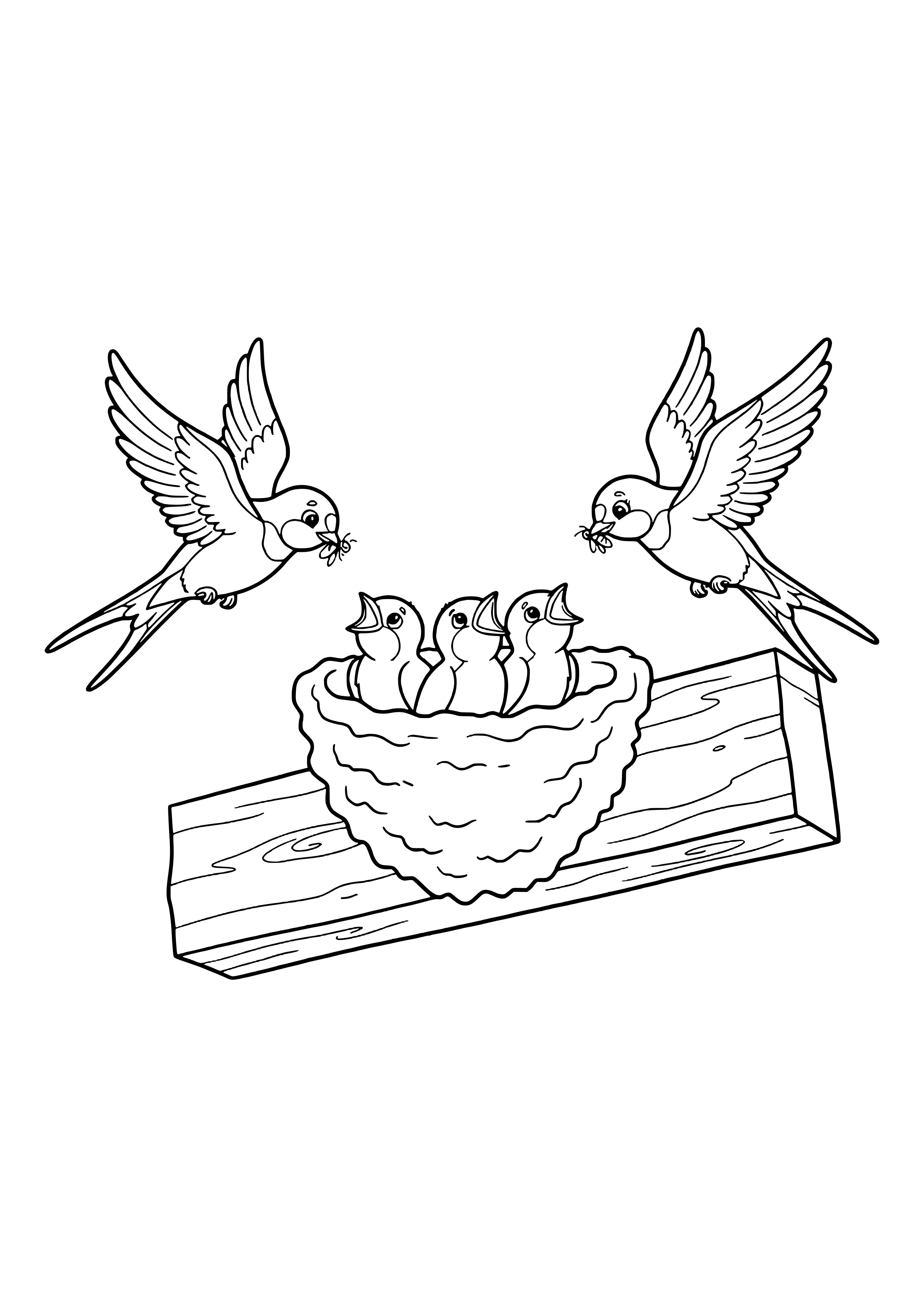 Two flying barn swallows with insects in their beaks above a mud nest with three chirping chicks on a wooden beam – coloring page to print