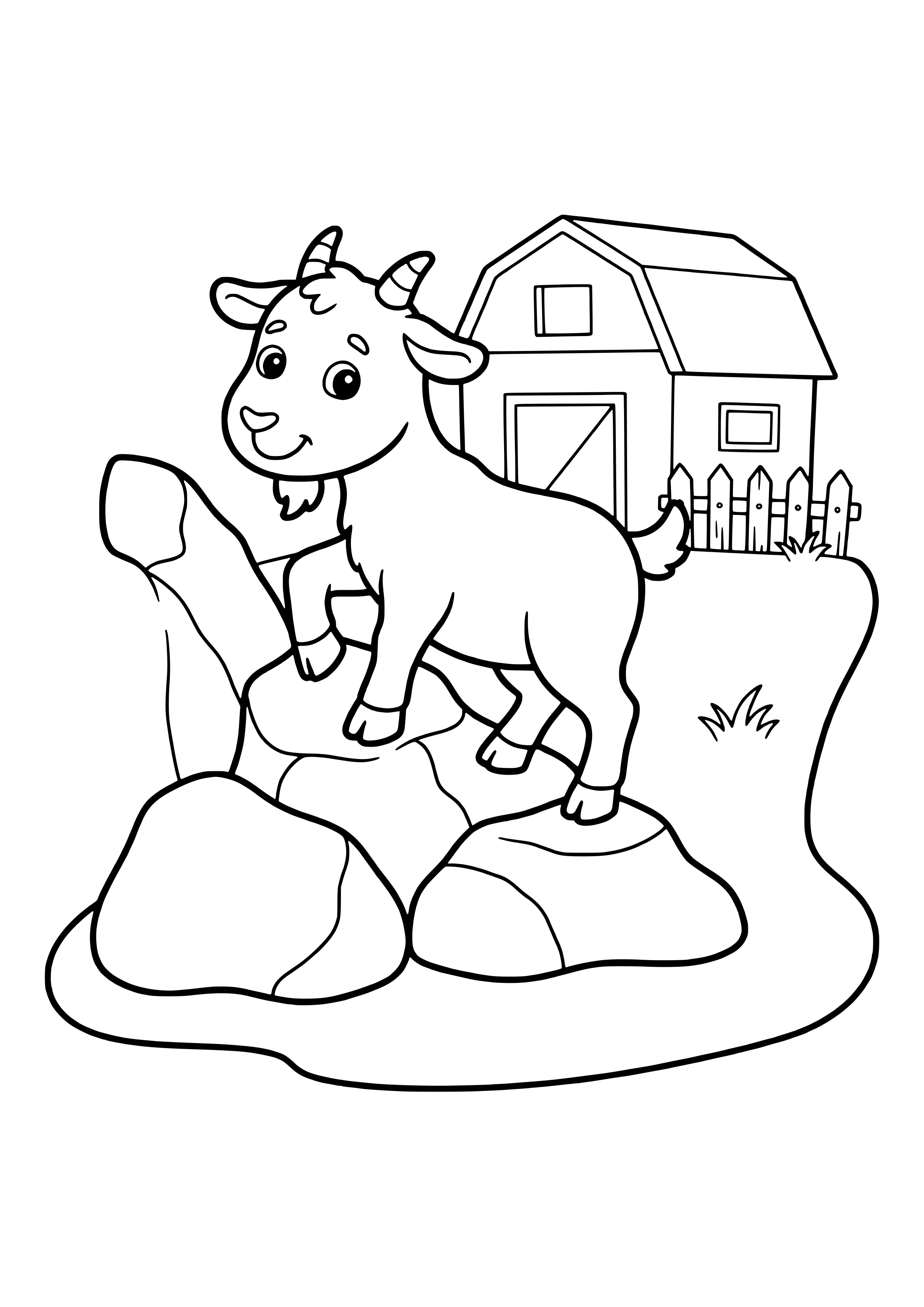 Young goat with small horns and a beard climbing on boulders with a barn and picket fence behind – coloring page to print