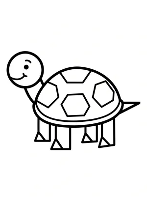 Schildkröte Formen Ausmalbild