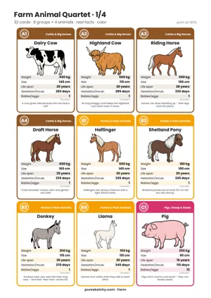 Colorful farm quartet cards with dairy cow, Highland cow, horses, Shetland pony, donkey, llama and pig to print