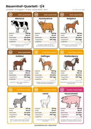Bunte Quartettkarten mit Milchkuh, Hochlandrind, Reitpferd, Kaltblut, Haflinger, Shetlandpony, Esel, Lama und Hausschwein zum Ausdrucken