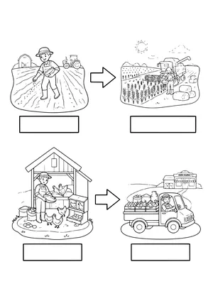 Worksheet with four scenes and blank boxes: a farmer scattering seeds, a combine harvesting grain with straw bales, a farmer collecting eggs in a henhouse and a truck with produce crates and milk cans at a farm market – coloring page to print