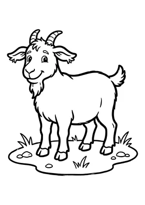 Smiling billy goat with curved horns, a long chin beard and a perky tail standing on grass with pebbles – coloring page to print