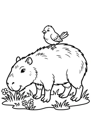 Capybara und Vogel Ausmalbild