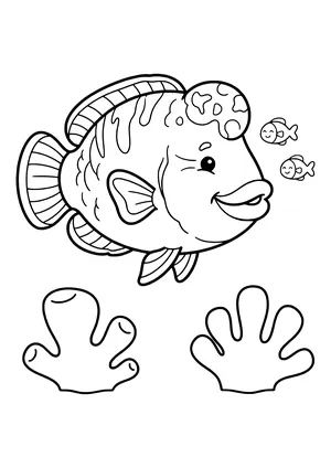 Napoleon wrasse in the reef Coloring Page
