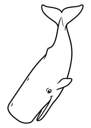 Sperm whale diving into the deep Coloring Page