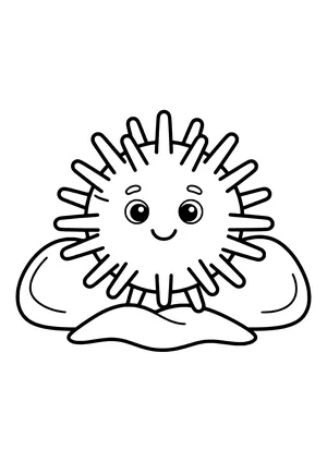Sea urchin between stones Coloring Page