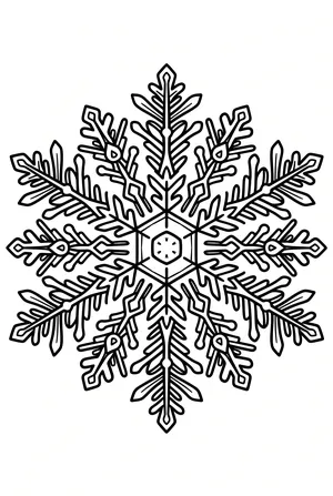 Schneeflocke in Nahaufnahme Ausmalbild